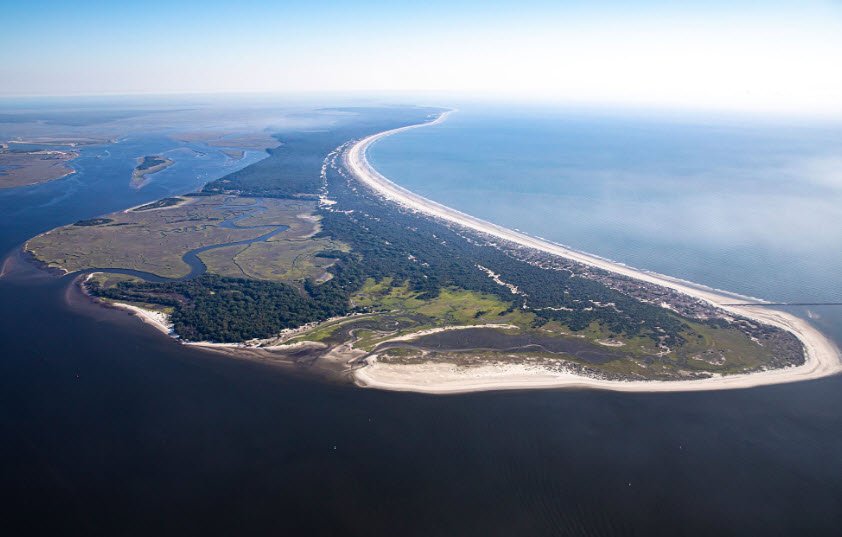 Cumberland Island, Georgia, USA